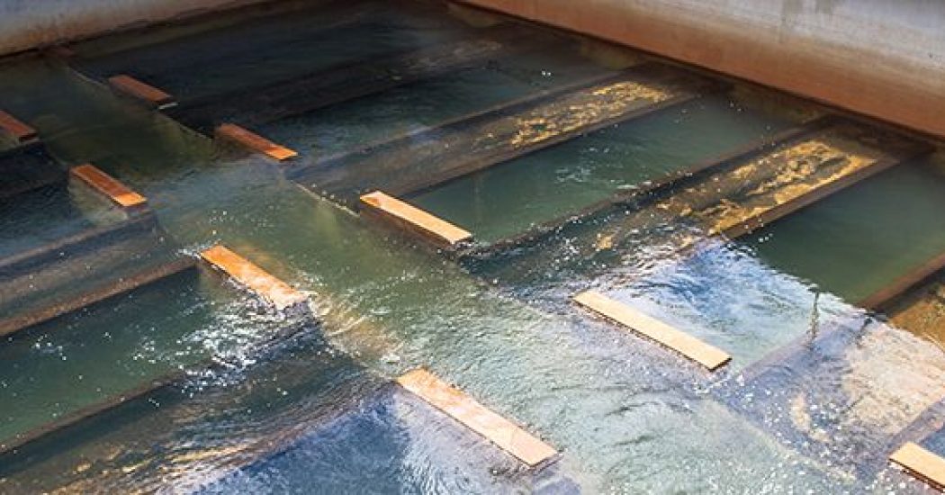 water-filtration-media-maintenance__large