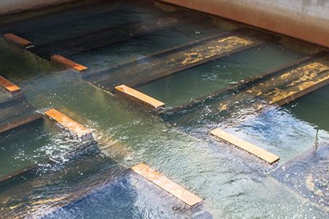 water-filtration-media-maintenance__large